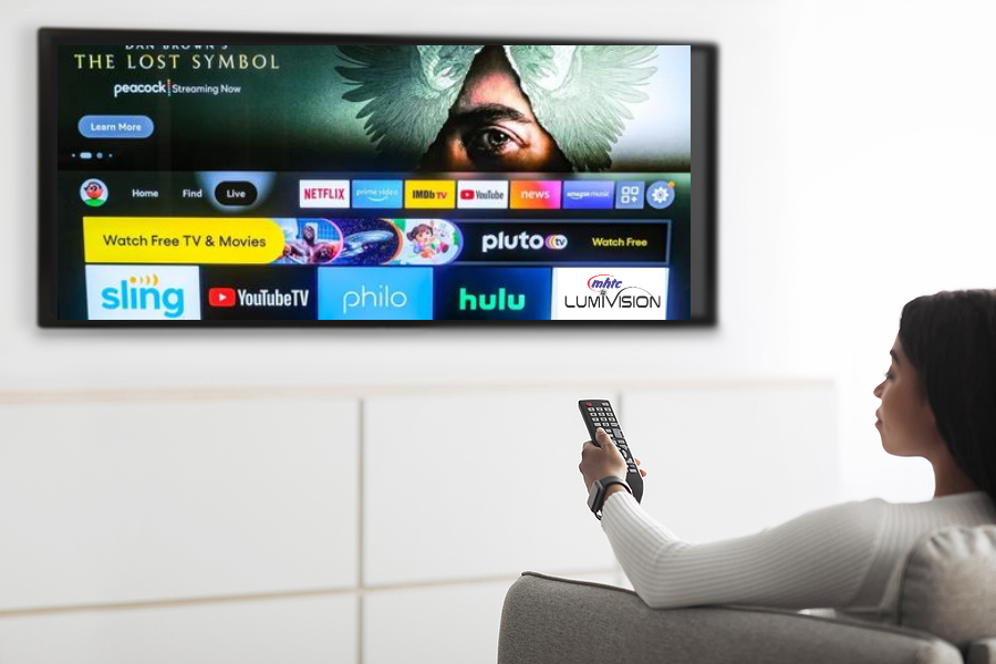 Black lady watching television, turning on plasma flatscreen TV-set, pointing remote control at blank screen